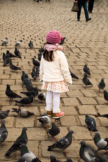Little girl amid grey pigeons live in large groups in urban environment