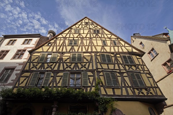 Colourful half-timbered houses in the historic old town of Riquewihr