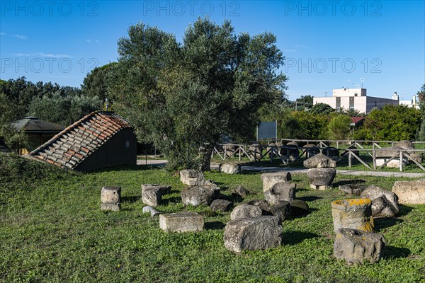 Little mounds in the Necropolis of Tarchuna