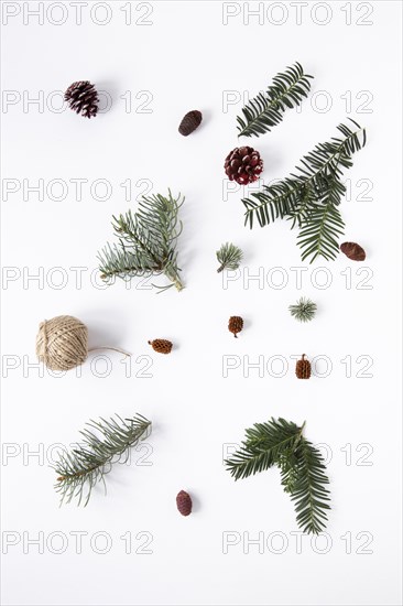 Flat lay seasonal pine leaves plain background