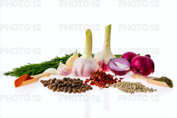 Set of spice and herbs for everyday cooking isolated on white