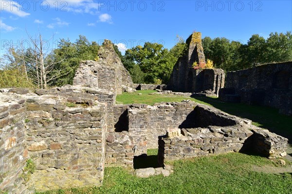 The ruins of the moated castle of Baldenau in the valley of the Dhron near Morbach in Hunsrueck
