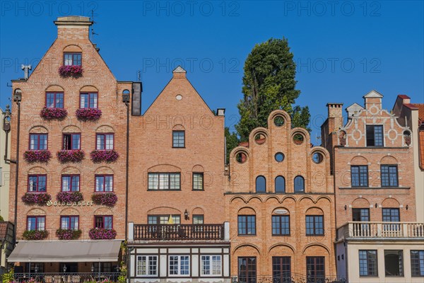 Hanseatic league houses on the Motlawa river