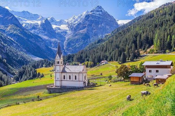 View of the village with the Church of the Visitation of the Virgin Mary and the Trafoier Ice Wall 3565m