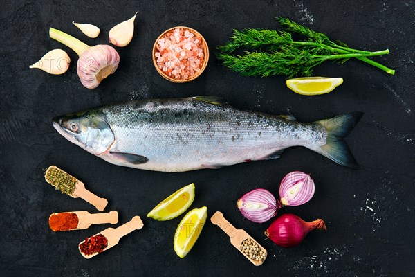 Red salmon on black concrete background