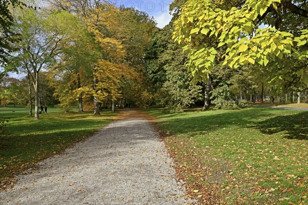 Deciduous trees in the Georgengarten