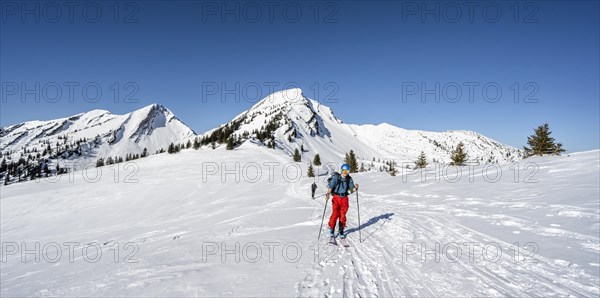 Ski tourers climbing Hochgern