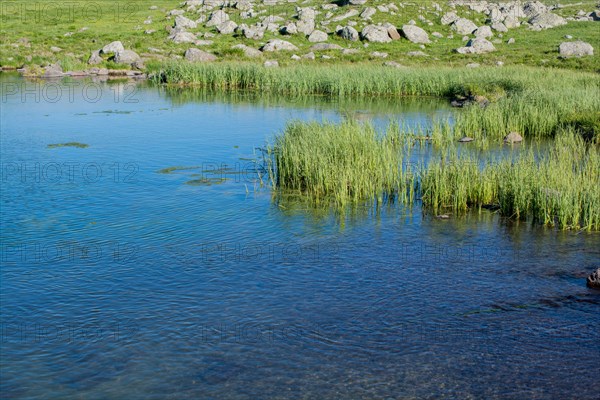 Highland lake in green natural background in Artvin province of Turkey