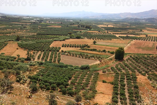 View over the Mesara plain