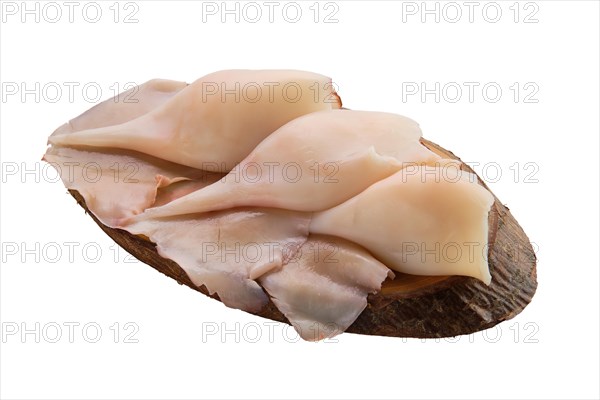 Frozen pilled squid isolated on white background