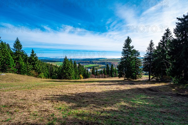 A clearing with coniferous trees at the foot of the Fichtelberg with a view into the valley towards Oberwiesenthal in autumn