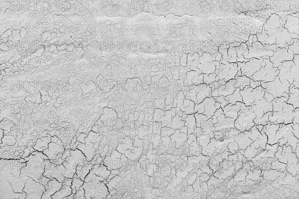 Grey lime plaster with cracks background