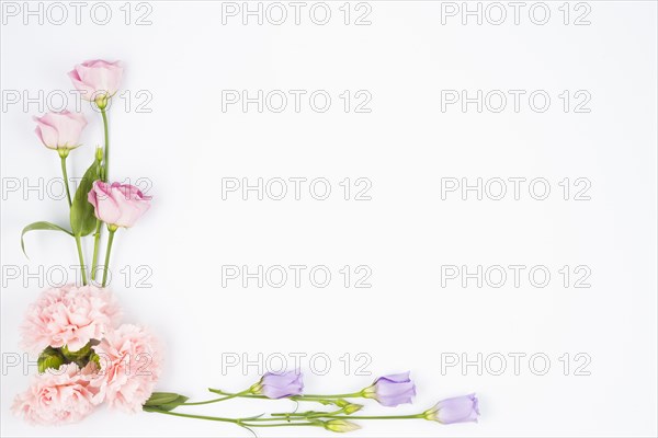 Pale flowers framing corner