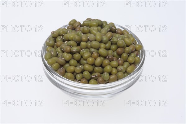 Mung bean