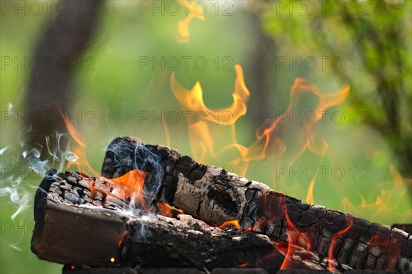 Close up view of burning firewood in the fire outdoor