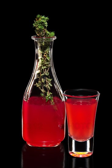 Fresh cranberry juice as ingredient for vodka cocktail isolated on black