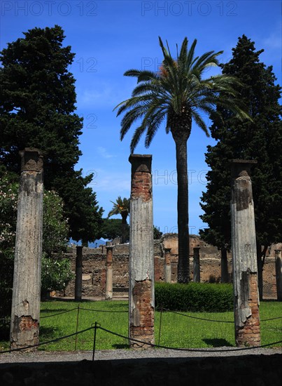 Columns at the House of the Labyrinth