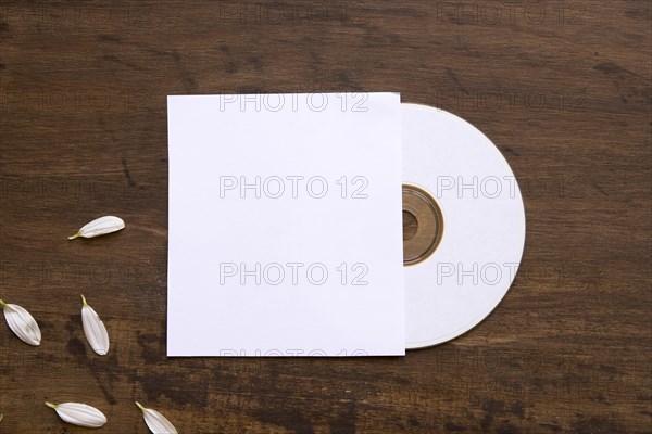 Cd mockup with petals cover