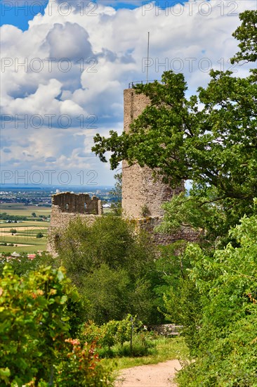 German castle ruin and restaurant called Strahlenburg in Odenwald forest in Schriesheim city