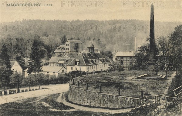 Magdesprung im Harz