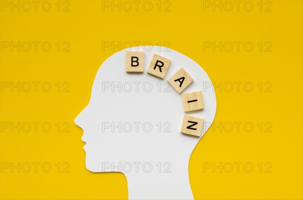 White head with brain word from scrabbles letters. Resolution and high quality beautiful photo