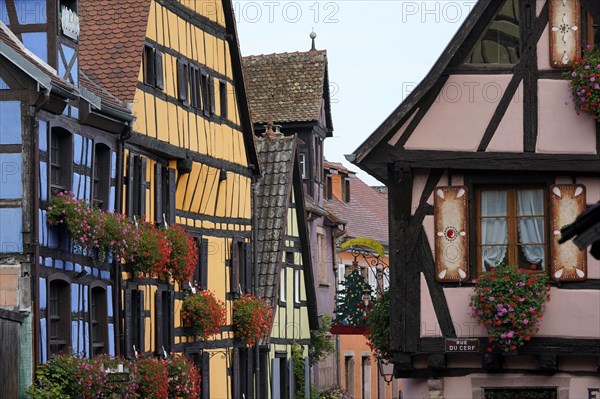 Colourful half-timbered houses in the historic old town of Riquewihr