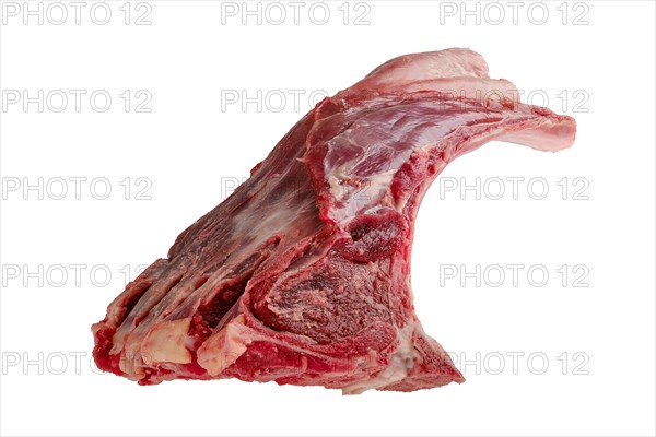 Raw fresh deer ribs isolated on white background