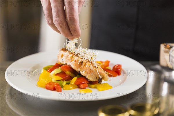 Chef preparing dish healthy food
