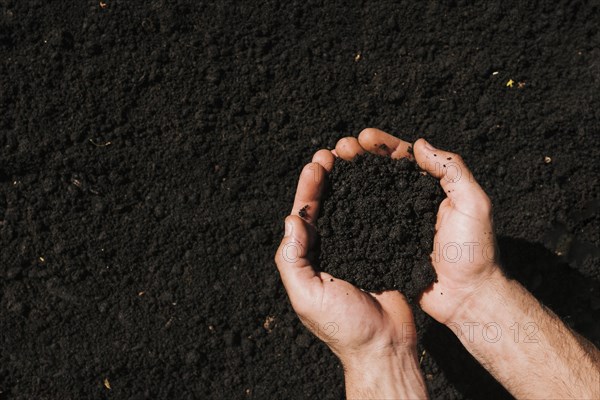 Flat lay hands holding soil