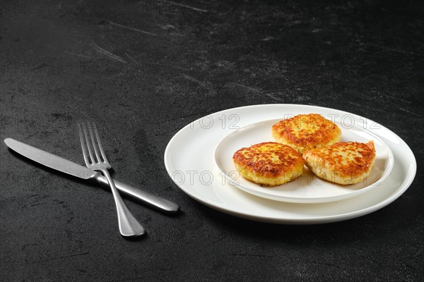 Fried squid cutlet in breading on a plate