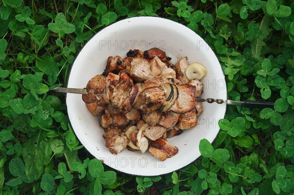 Plate with ready shashlik on the ground