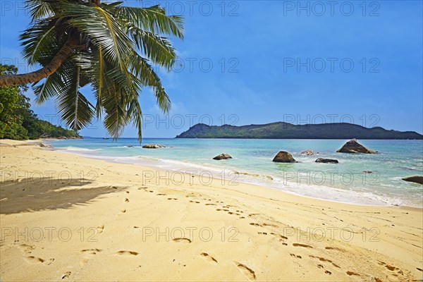 Beach and palm trees at Anse Boudin