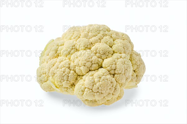 Fresh cauliflower isolated on white background