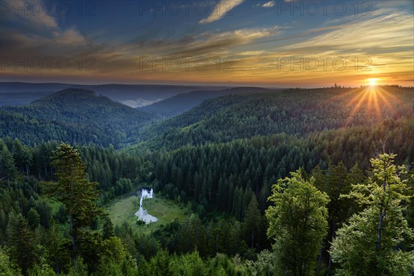 View from the Ellbachseeblick viewing platform