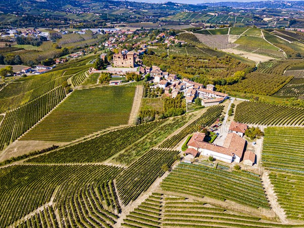 Aerials of the wineyards around Castle of Grinzane Cavour