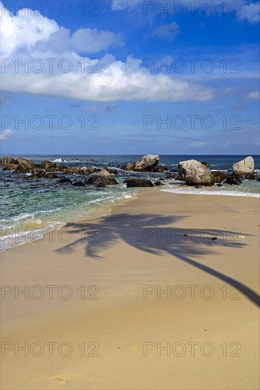 Dream beach Glacis Beach in the evening with shade of a coconut palm