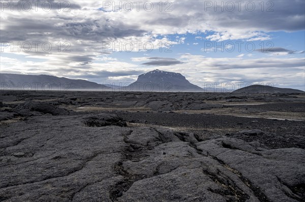 Lava fields