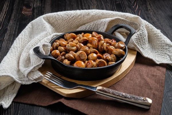 Cast iron skillet with fried champignon with spice