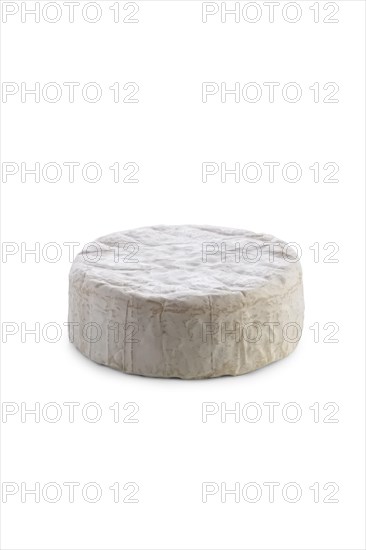 Camembert cheese isolated on white background
