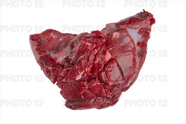 Raw fresh deer boneless rump isolated on white background