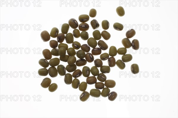 Mung bean