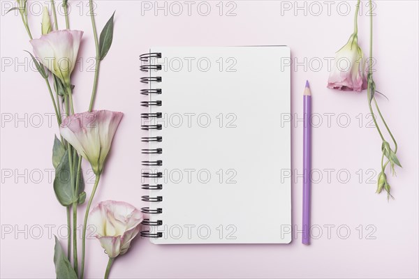 Eustoma flowers blank spiral notebook with purple pencil pink background