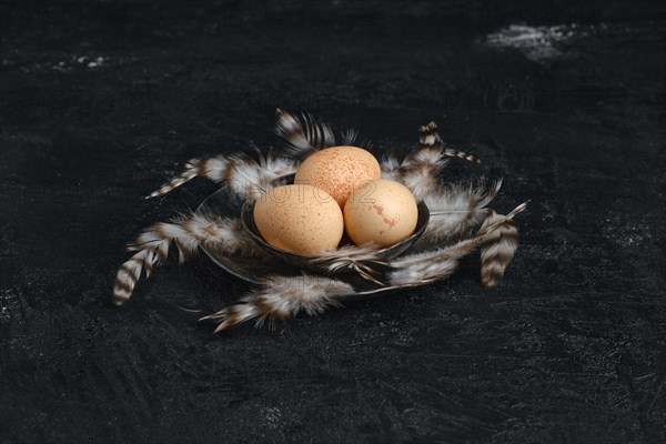 Three guinea fowl eggs in metal bowl