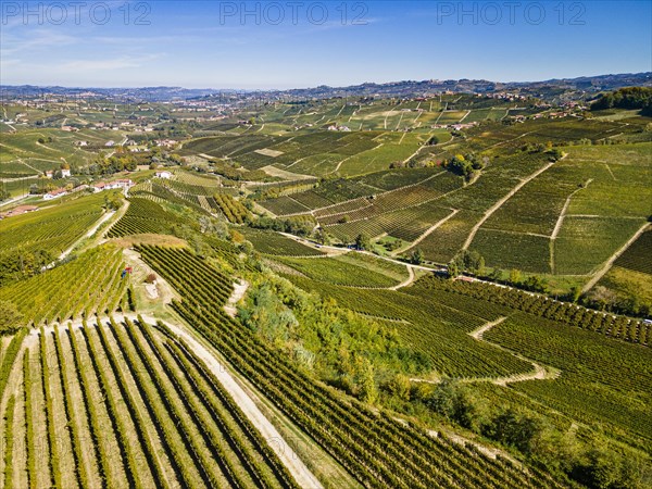 Aerials of the wineyards around Barolo