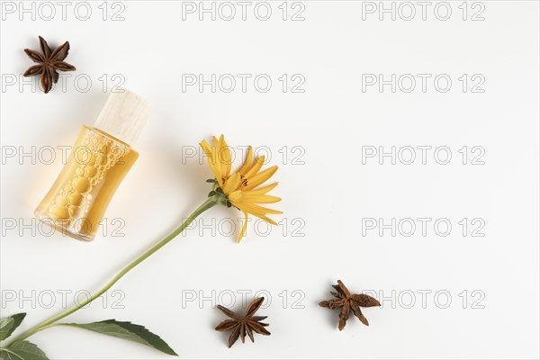 Close up view anise stars essential oil bottle