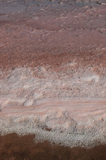 The Salinas de Janubio