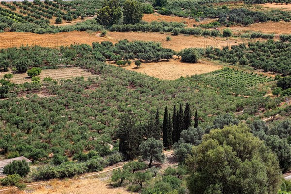 View over the Mesara plain