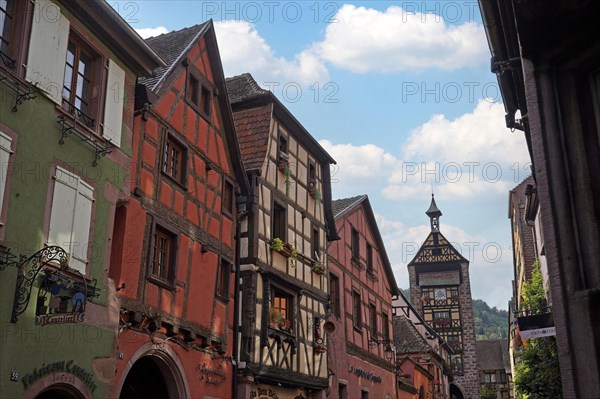 Colourful half-timbered houses in the historic old town of Riquewihr