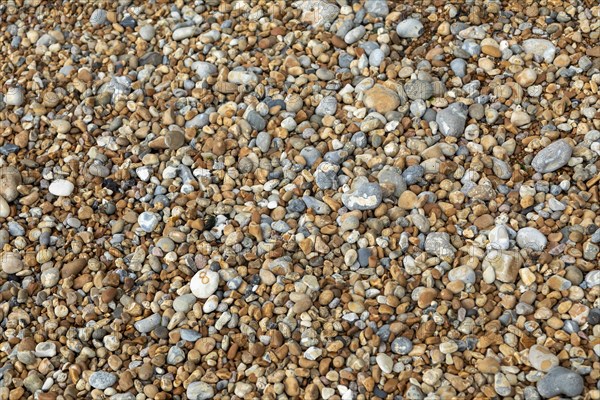 Stones on the Beach