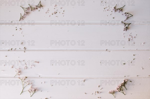 Tiny flowers forming circle wooden table. Resolution and high quality beautiful photo